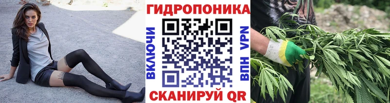 mega ссылка  Кукмор  Шишки марихуана план 